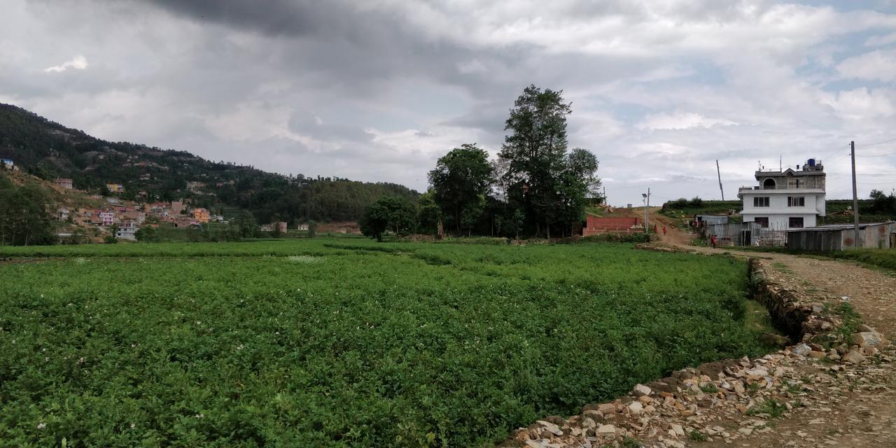 Panauti Homestay Екстер'єр фото